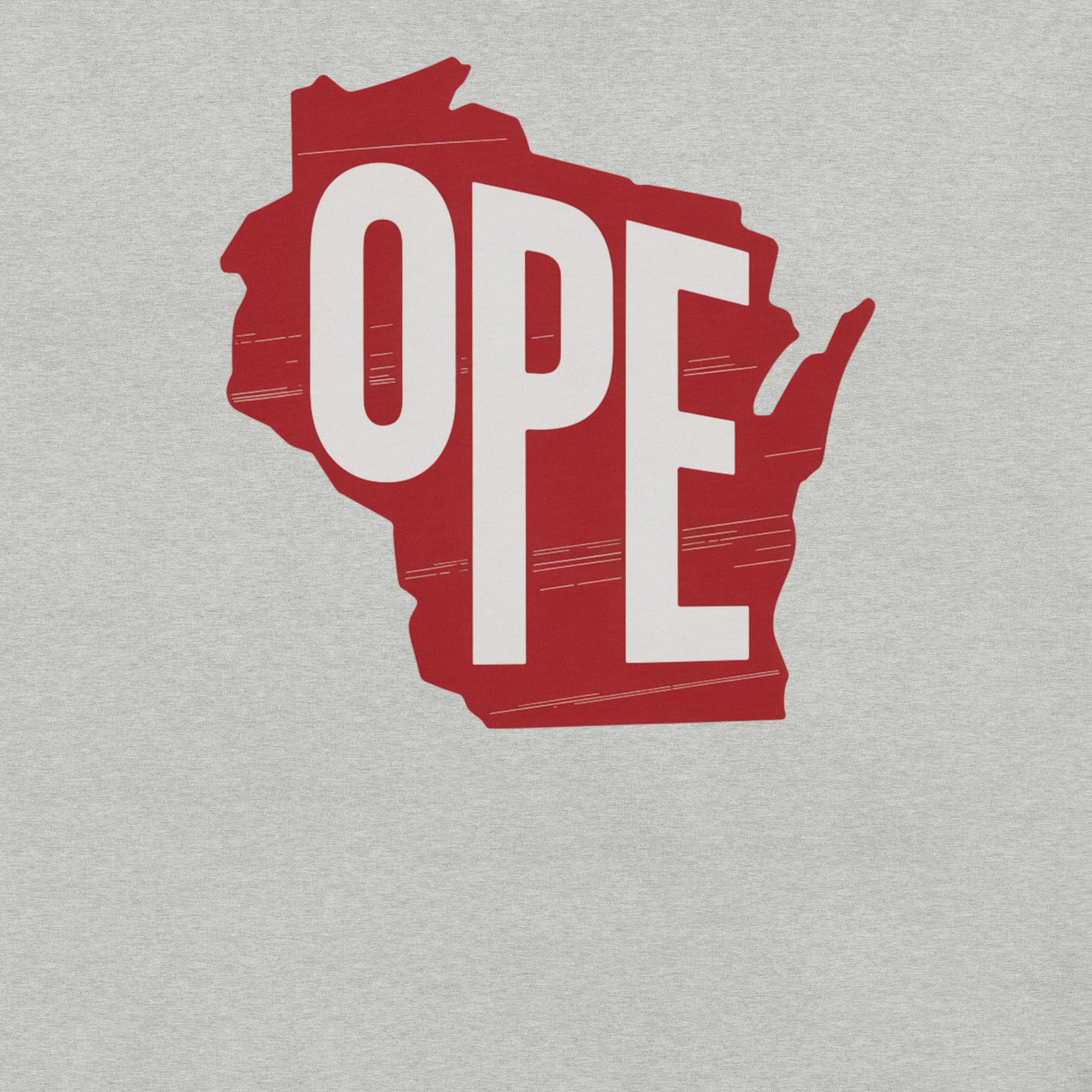 Vintage Wisconsin OPE State Tee Heather Grey